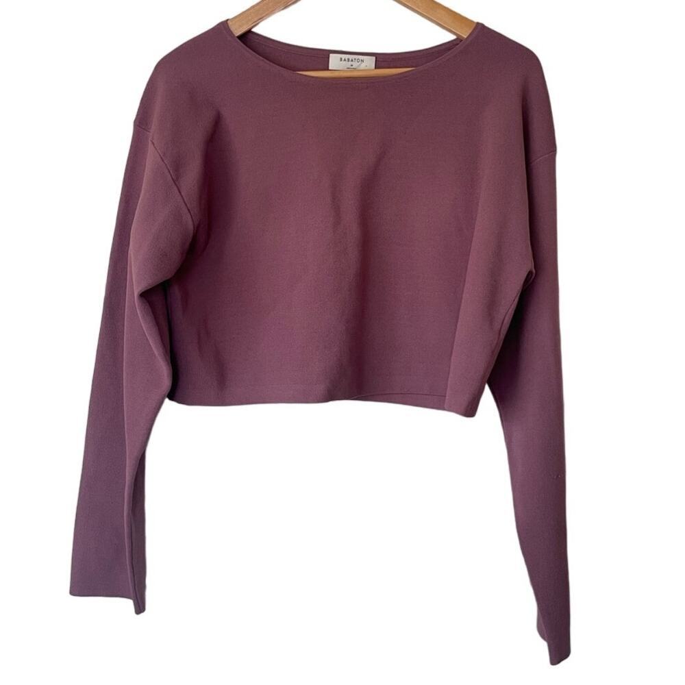 Aritzia Mauve Crop Top